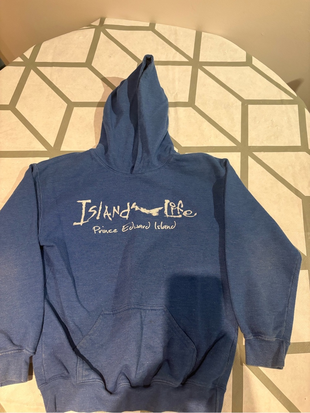 3/15$ Luxe Heathered Blue Hooded Sweatshirt